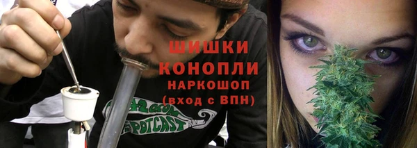 стафф Медногорск