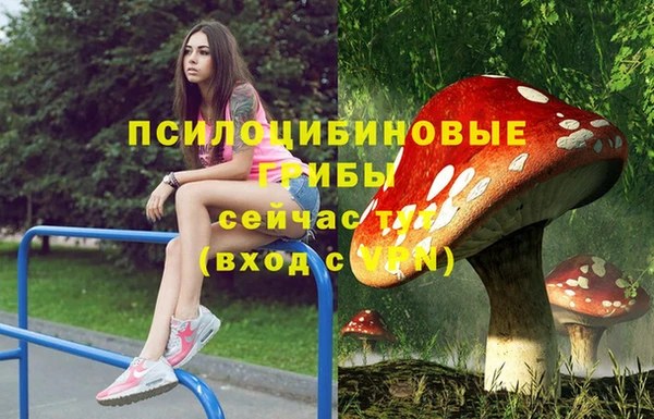 стафф Медногорск
