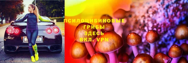 ГАЛЛЮЦИНОГЕННЫЕ ГРИБЫ Михайлов