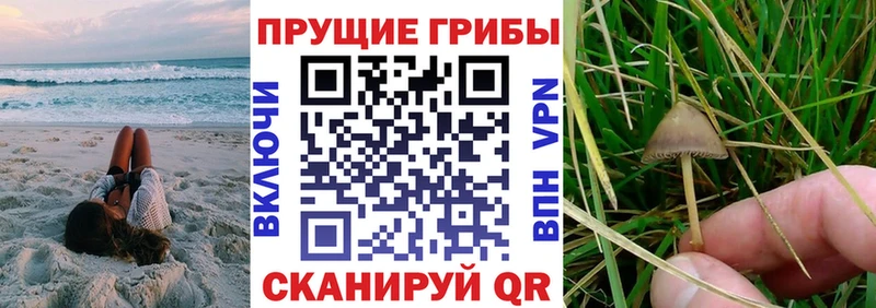 Галлюциногенные грибы мицелий  Купить закладки  Южноуральск 